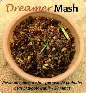Dreamer Mash 2